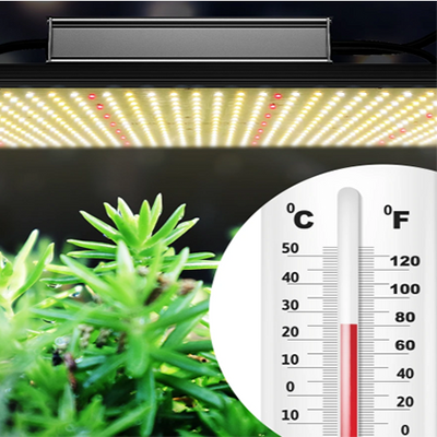 5 Factors Affecting Plant Growth