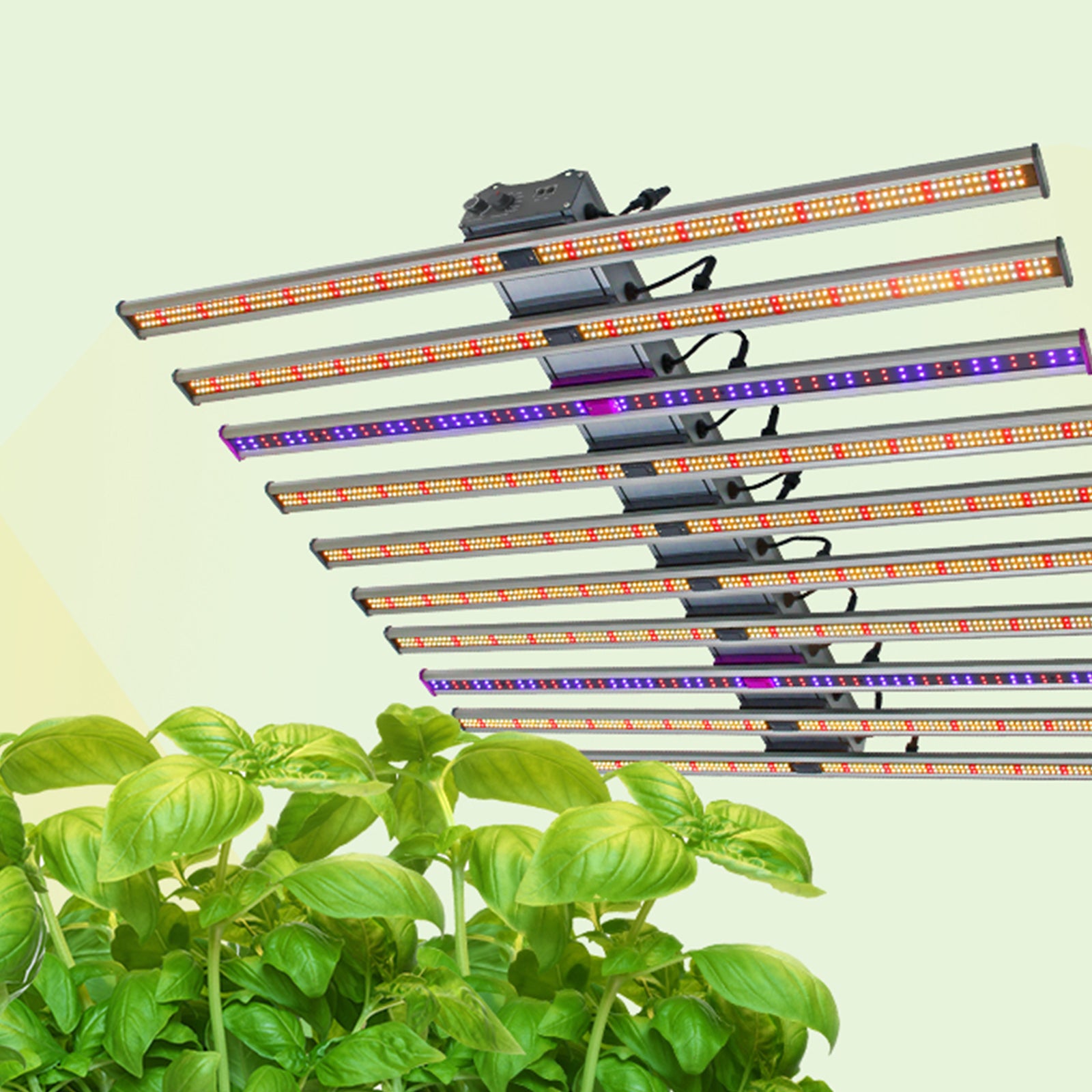PPF VS. PPFD, Which Matters Most for Horticultural Growers
