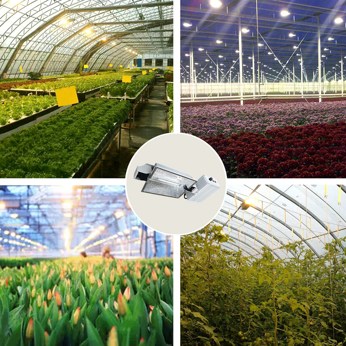 HPS 1000W Grow Lights System Kits, with 120-240V Digital Dimmable Ballast and HPS-DE 1000Watt Super Bulb