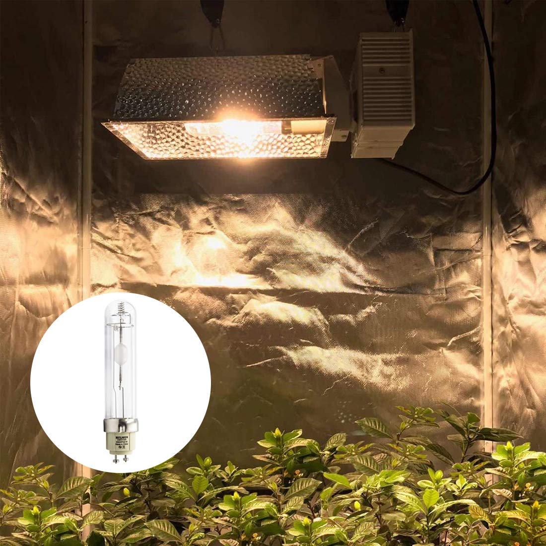 CMH 315W Grow Light Kit, ETL Listed, High-Reflectivity Aluminum Hood, 120-240V Ballast, Full-Spectrum CMH Hydroponic Grow Light and Suspension System
