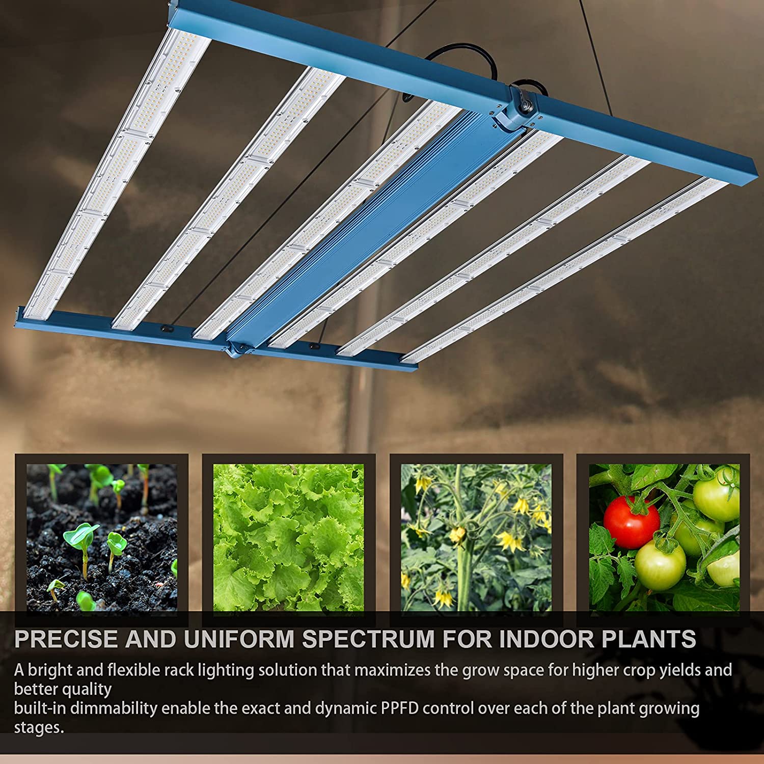 Quickstar 8000 800W LED Grow Light with Samsung Diodes
