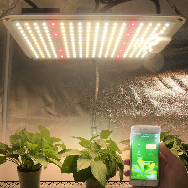 Grow light panel discount
